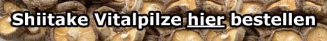 Shiitake Vitalpilze