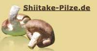 Shiitake Heilpilz und Vitalpilz